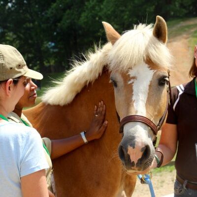 Skyland Camp and Retreats - Equine Facilitated Learning Programs